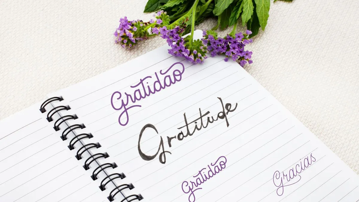 Pratique a Gratidão Diariamente