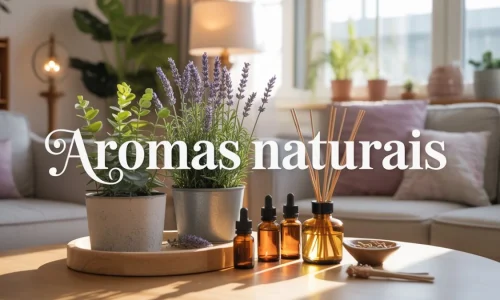 Aromas naturais para deixar sua casa cheirosa o dia todo